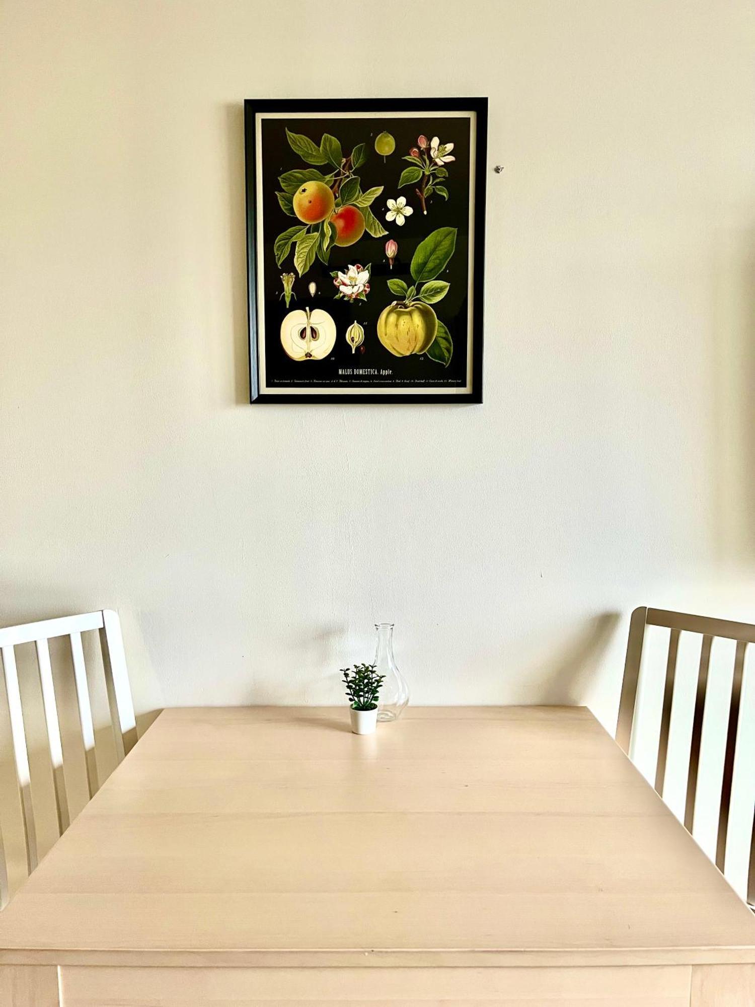 Logement Renove Proche Centre-Ville Lyon ビユールバンヌ エクステリア 写真