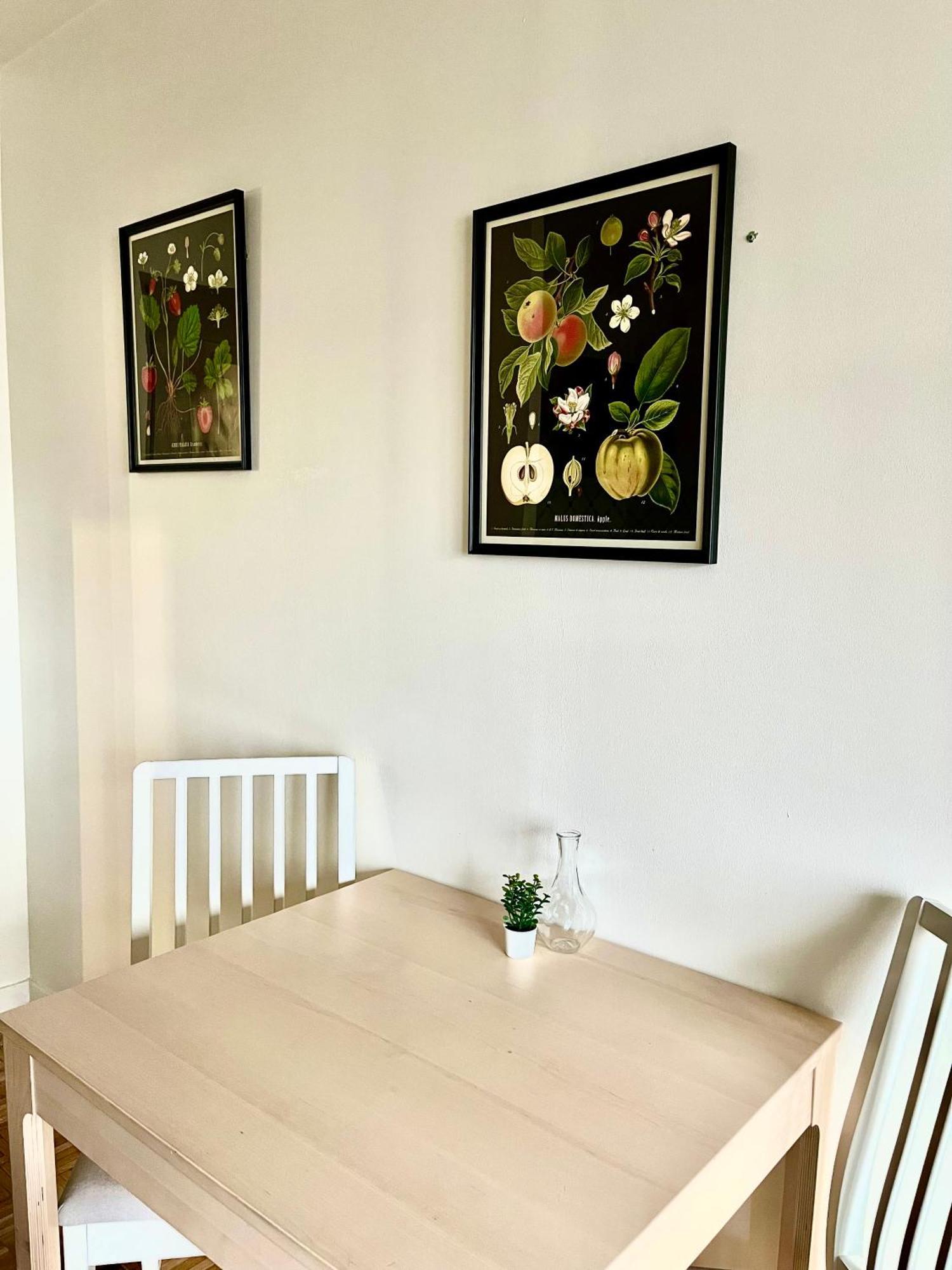 Logement Renove Proche Centre-Ville Lyon ビユールバンヌ エクステリア 写真